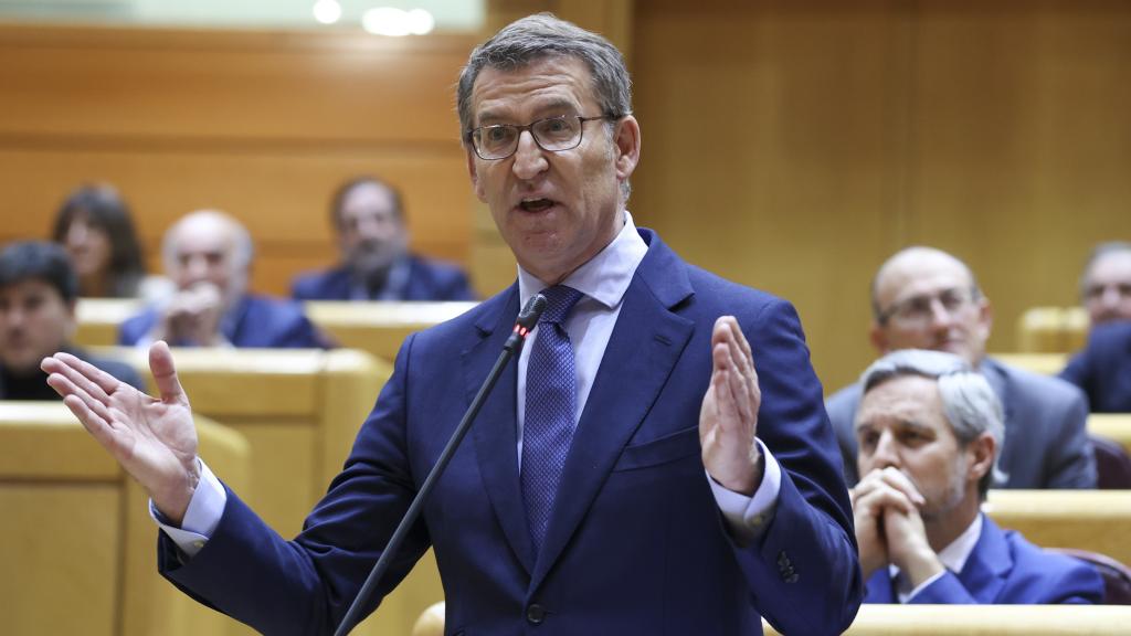 El líder del Partido Popular, Alberto Núñez Feijóo, interviene en el pleno del Senado de ayer.