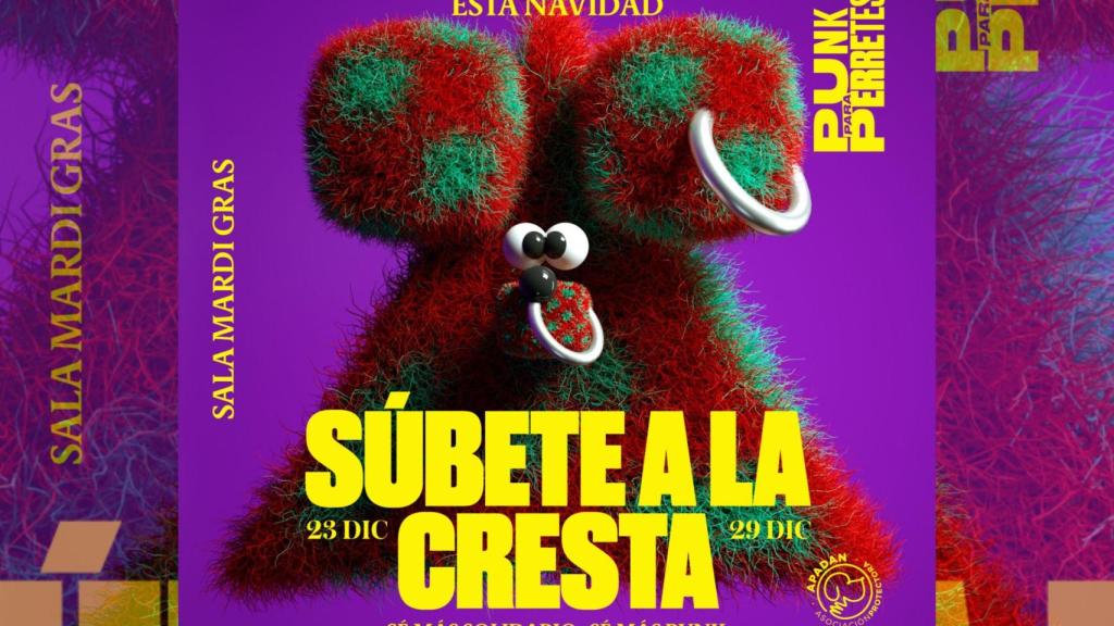 Punk para Perretes, regresa a A Coruña el festival de música para ayudar a perros sin hogar