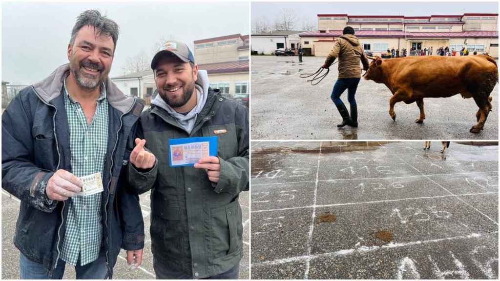 Décimos ocultos y el azar en las heces de vaca: así se reparte ilusión en A Mezquita (Ourense)