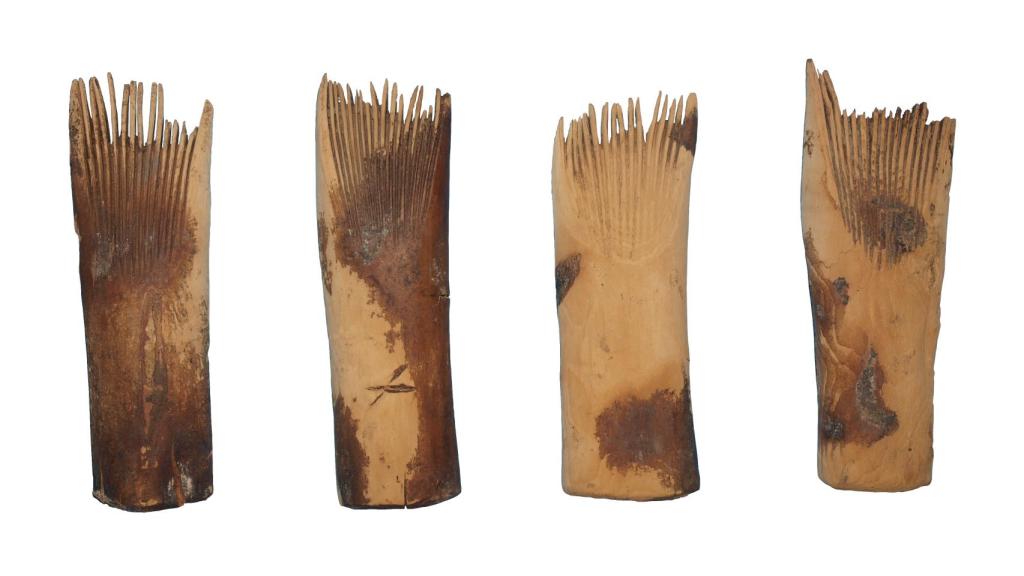 Varios de los peines hallados en el yacimiento.