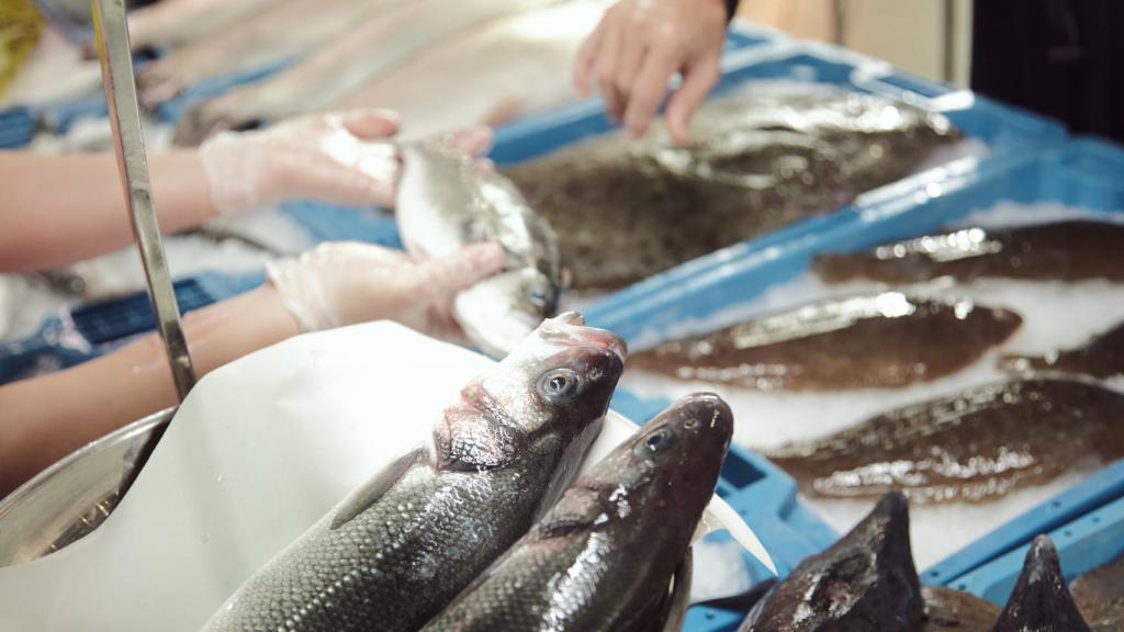 Acuicultura en España