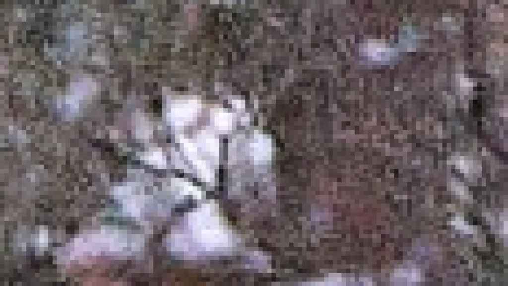 El teniente coronel Aranda Gil , jefe del destacamento español de Letonia.