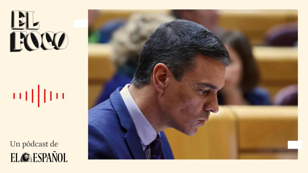 Pedro Sánchez, en el Senado.