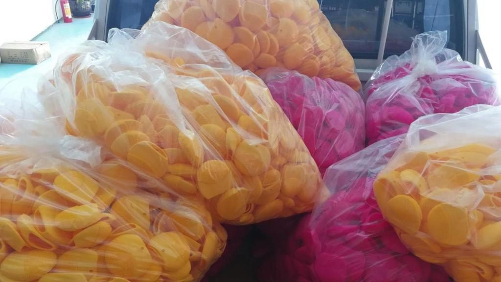 Varias bolsas llenas de productos.