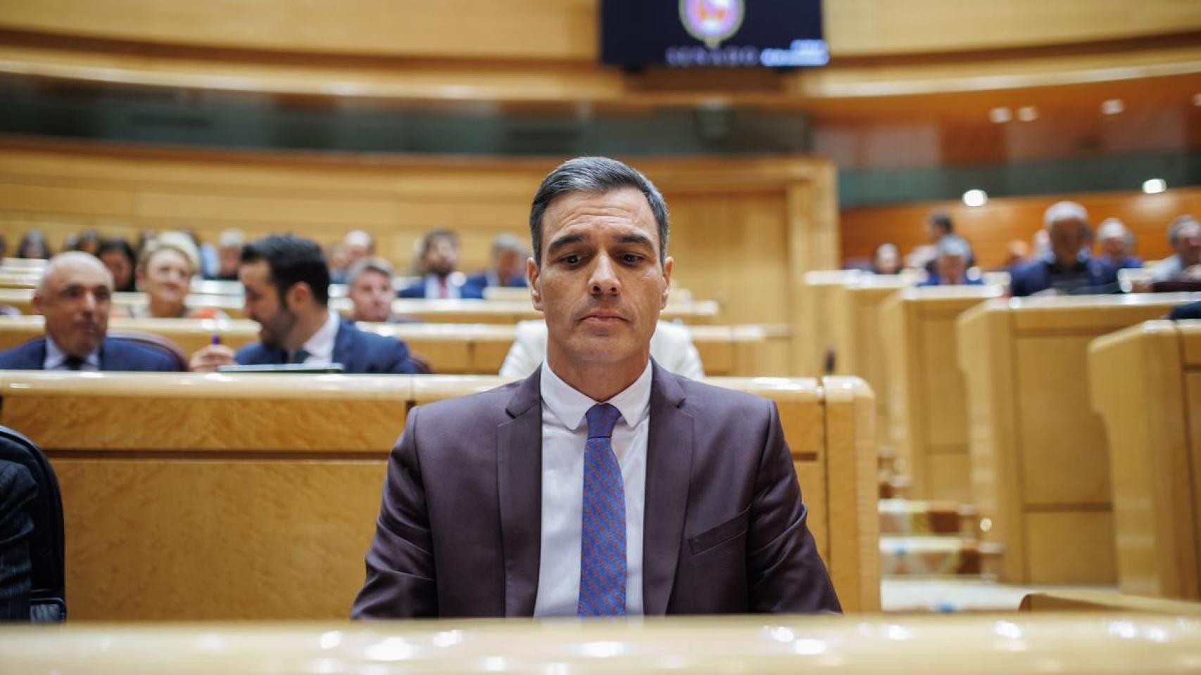 Pedro Sánchez, durante una sesión de control al Gobierno en el Senado, el mes pasado.