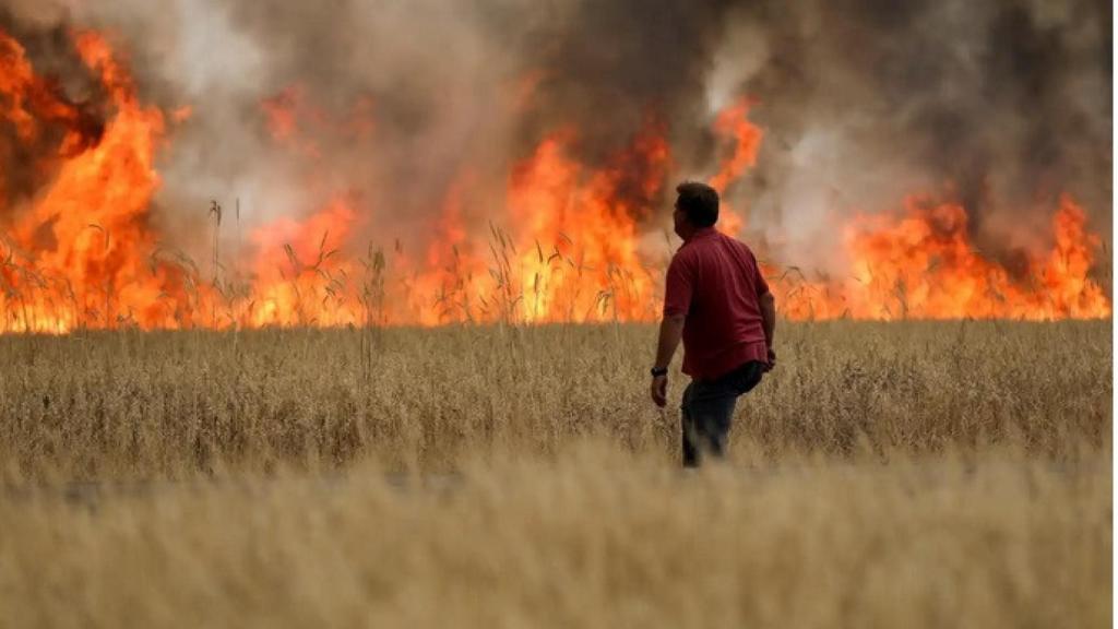 El fuego en la provincia de Zamora
