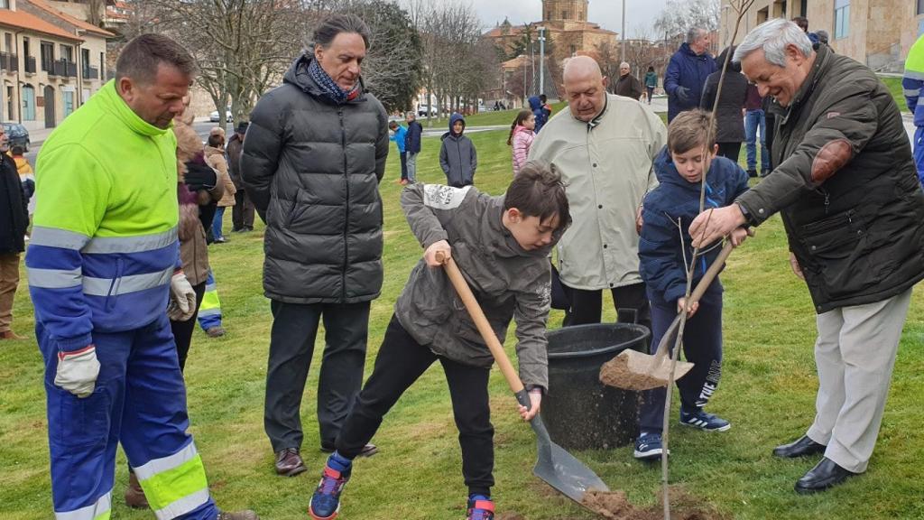 Plantación de árboles en la ciudad de Salamanca