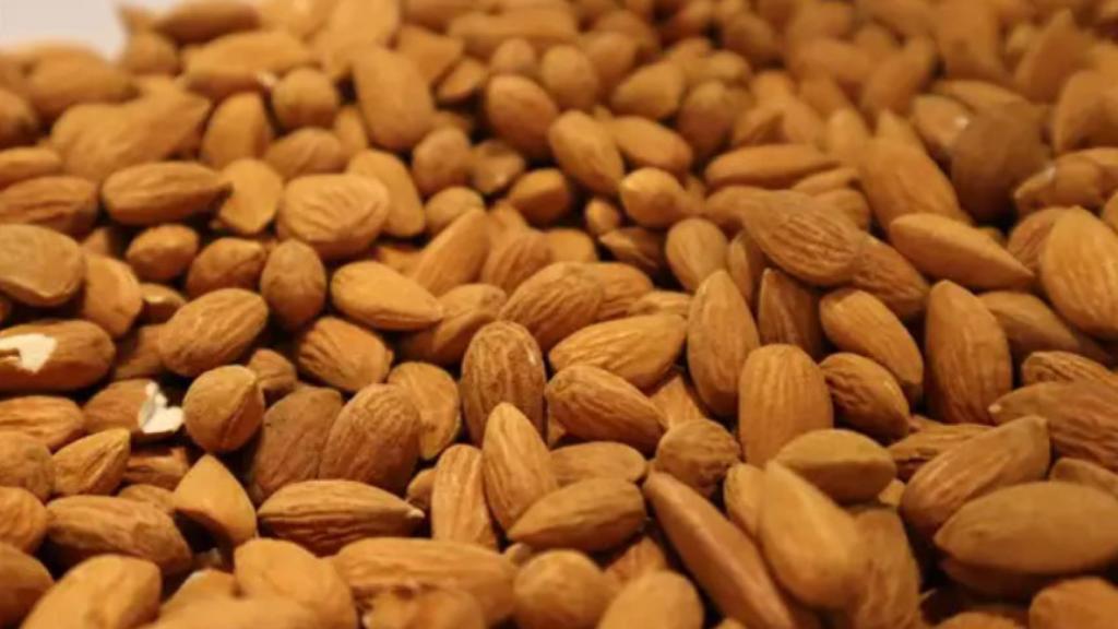 Imagen de archivo. Foto: JCCM.