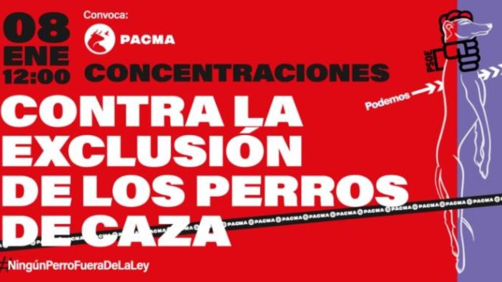Movilizaciones en A Coruña y Vigo contra la exclusión de perros de caza de la ley de bienestar animal