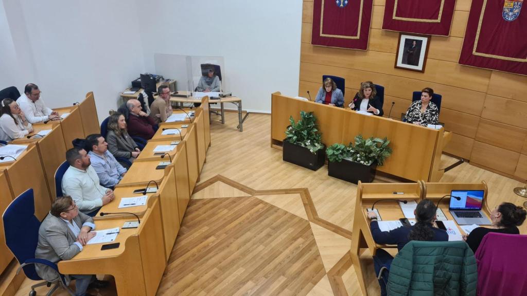 Imagen del pleno celebrado esta mañana