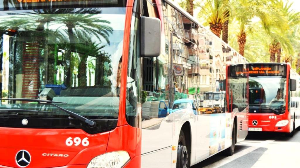 La reducción en los abonos de transporte urbano en Alicante, en la imagen sus autobuses, se mantendrá hasta el 31 de enero.