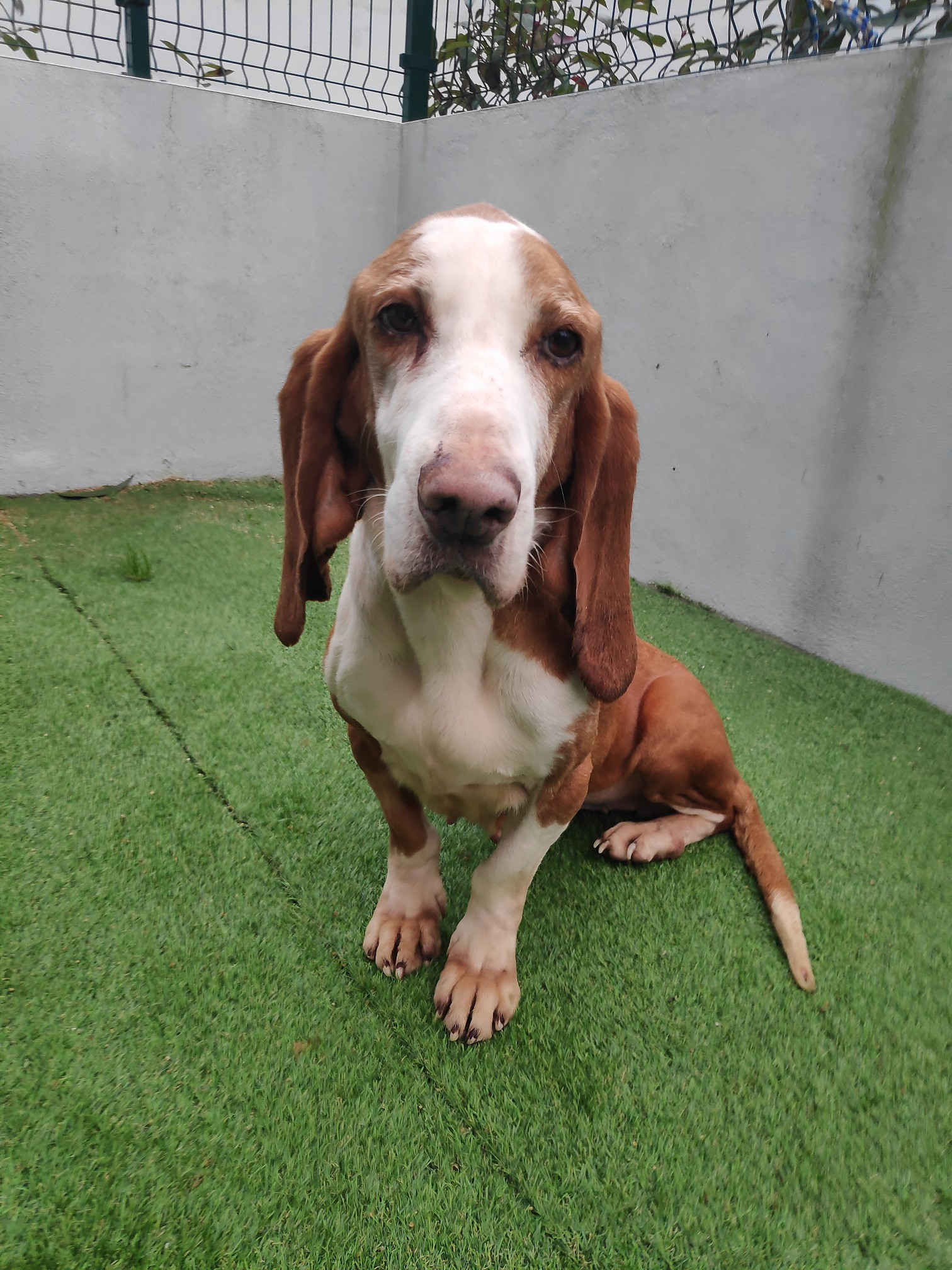 Ponta, la abuela del centro (Foto: Diputación de Pontevedra)