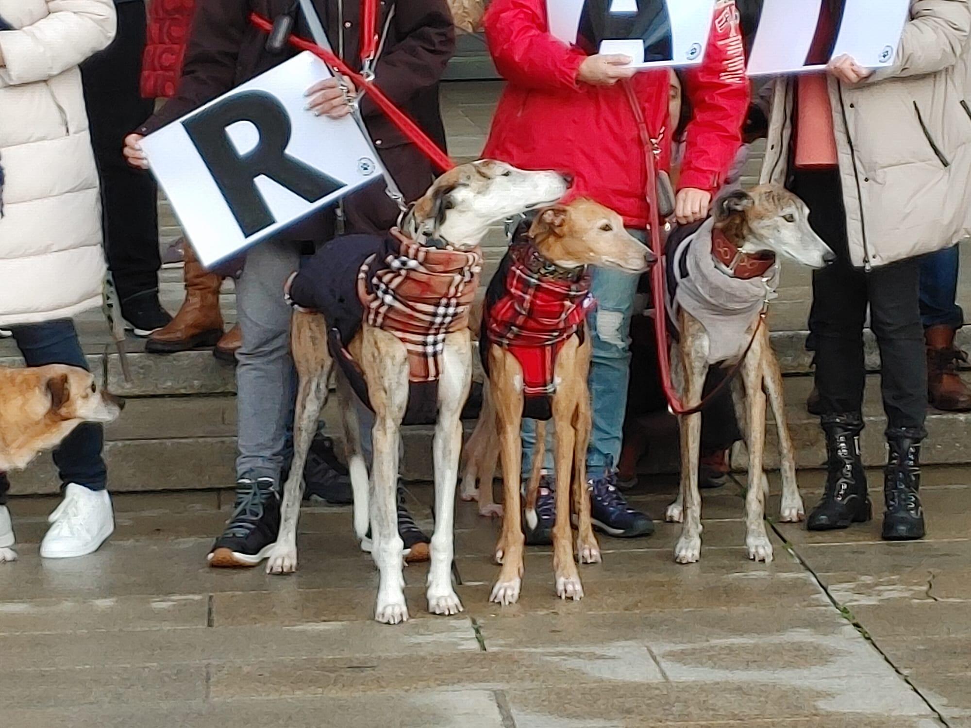 Protesta en A Coruña (Foto: Cedida)