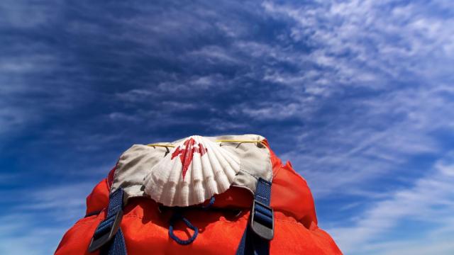 Concha del peregrino en el Camino de Santiago.
