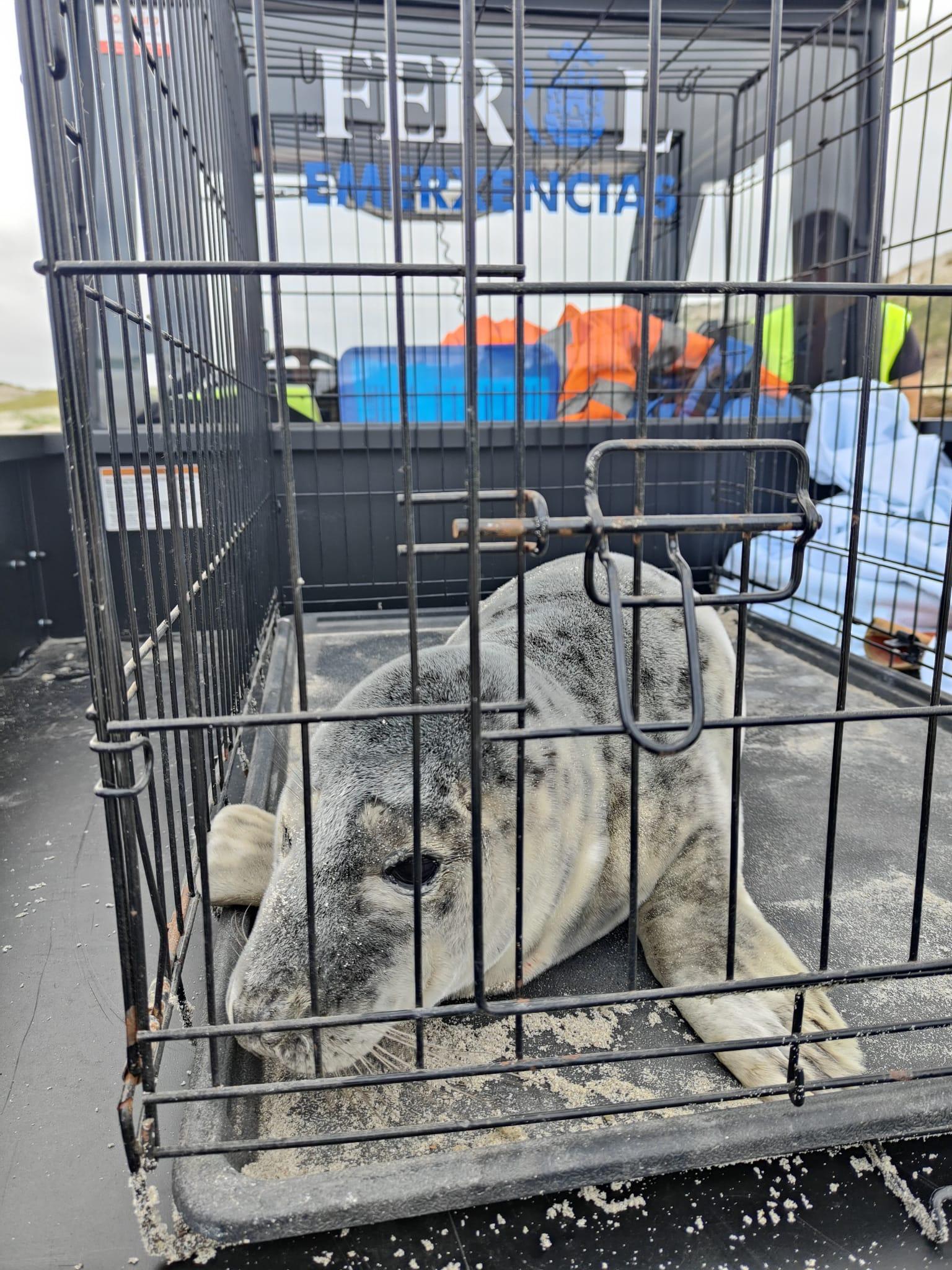 Imagen: Concello de Ferrol