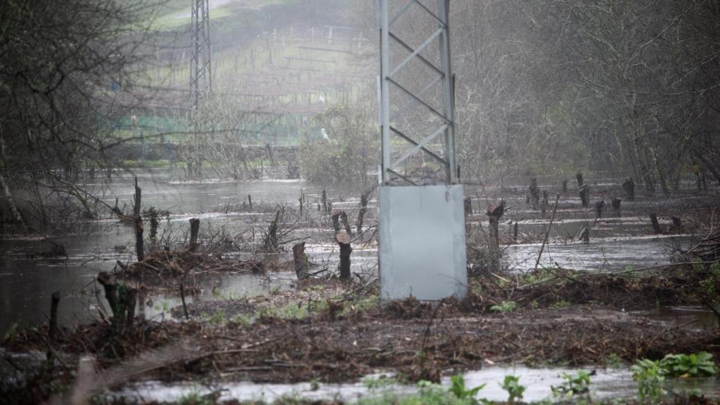 El río Lérez a su paso por Ponte Bora, a 16 de enero de 2023, en Pontevedra.