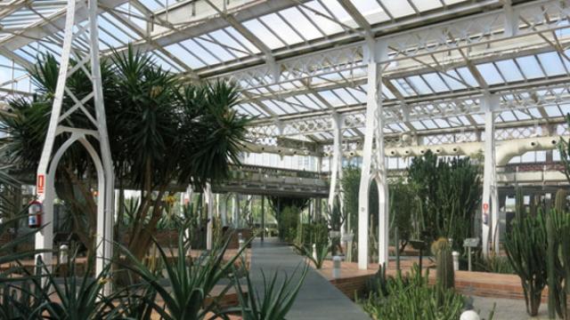 El otro Palacio de Cristal casi secreto que guarda una jungla en su interior