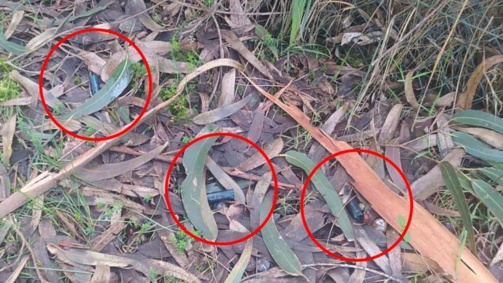 Cartuchos encontrados cerca de viviendas
