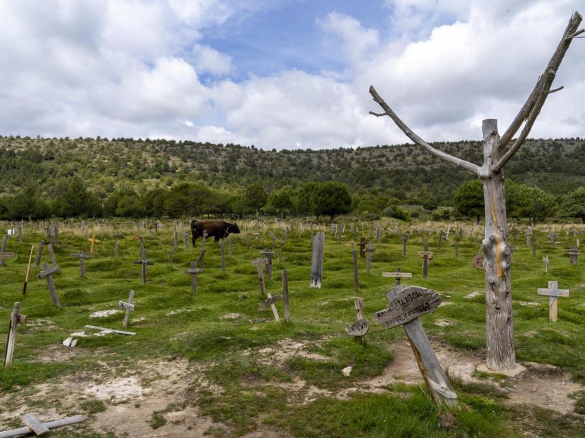 Imagen del Cementerio de Sad Hill, en el límite de Santo Domingo de Silos (Burgos).