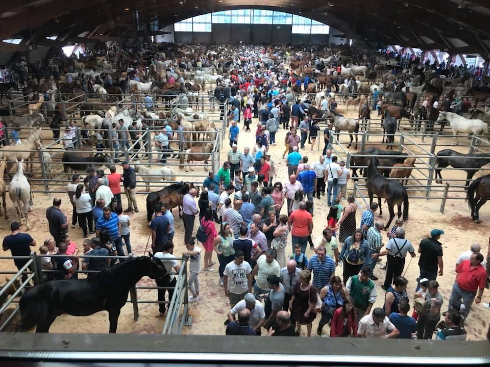 Mercado Nacional de Ganado en Santiago de Compostela