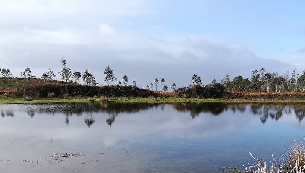 Eira dos Mouros en Cuntis. Foto: Turismo de Cuntis