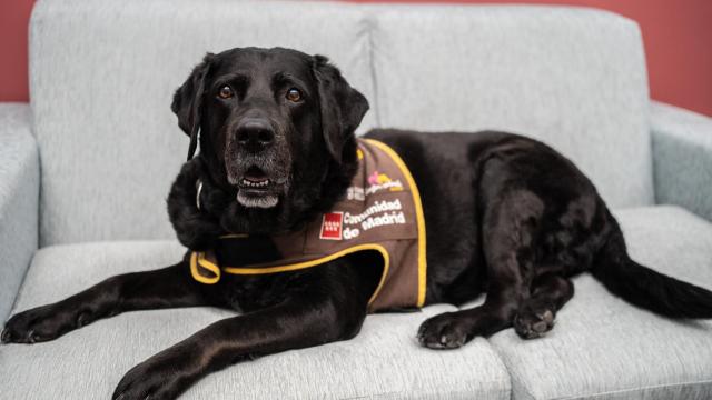 Eika tiene 11 años y se encarga de hacer más apacibles las declaraciones de los menores de edad.