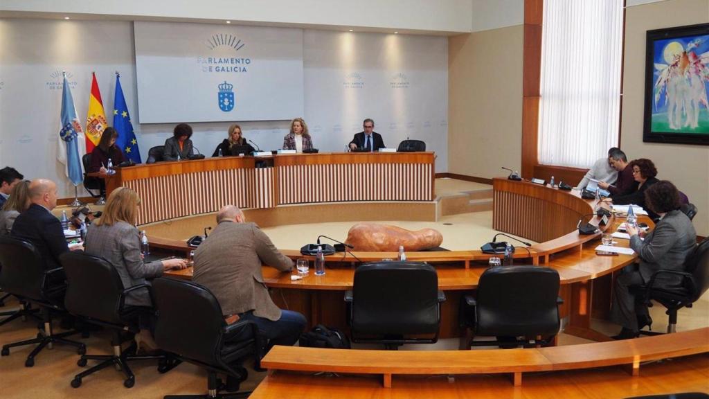 Comisión de Industria en el Parlamento.