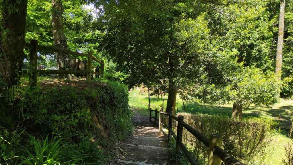 Jardín Botánico Enrique Valdés Bermejo. Foto: Treintayseis