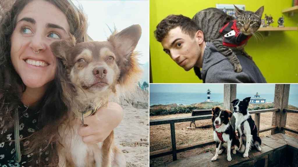 Todos estos perfiles atesoran miles de seguidores y demuestran el amor por los animales.