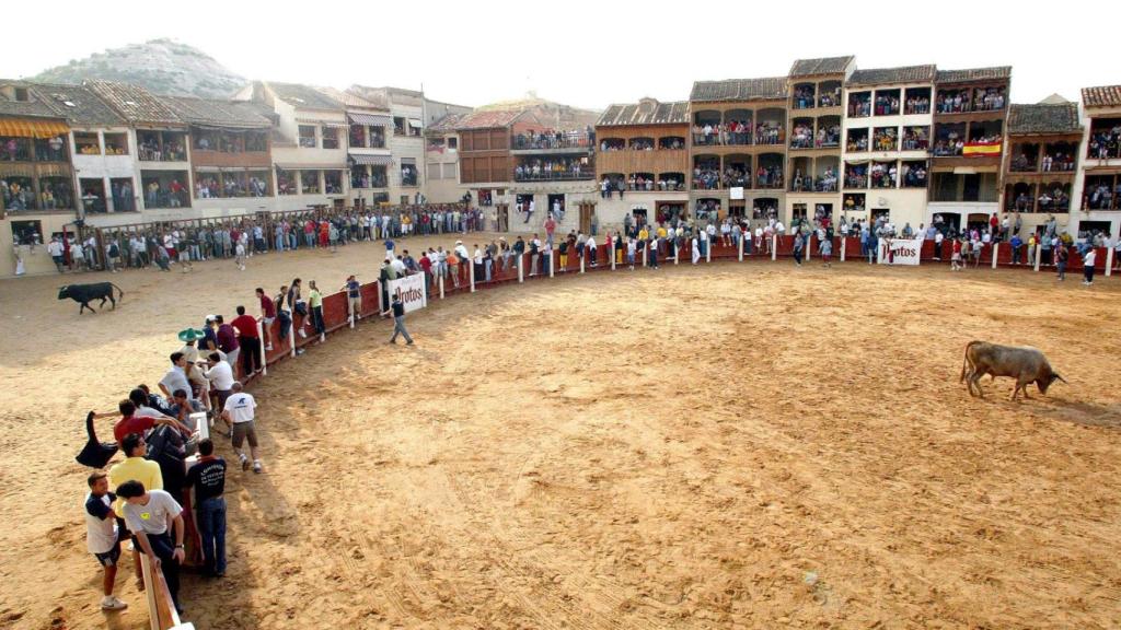 Festejo taurino tradicional en la plaza de toros de Peñafiel