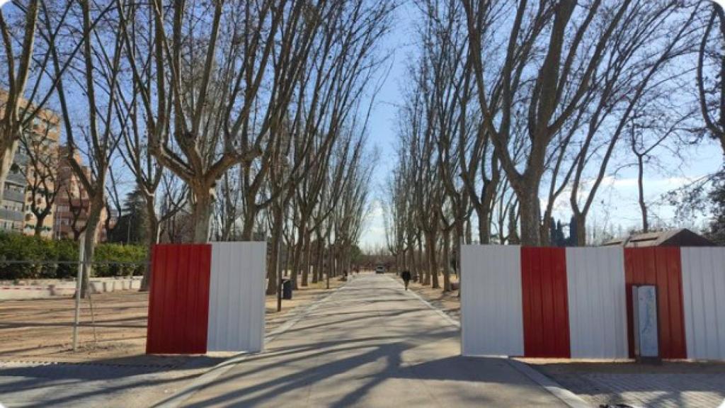 Así luce este martes el parque de Arganzuela antes de que se talen todos sus árboles.