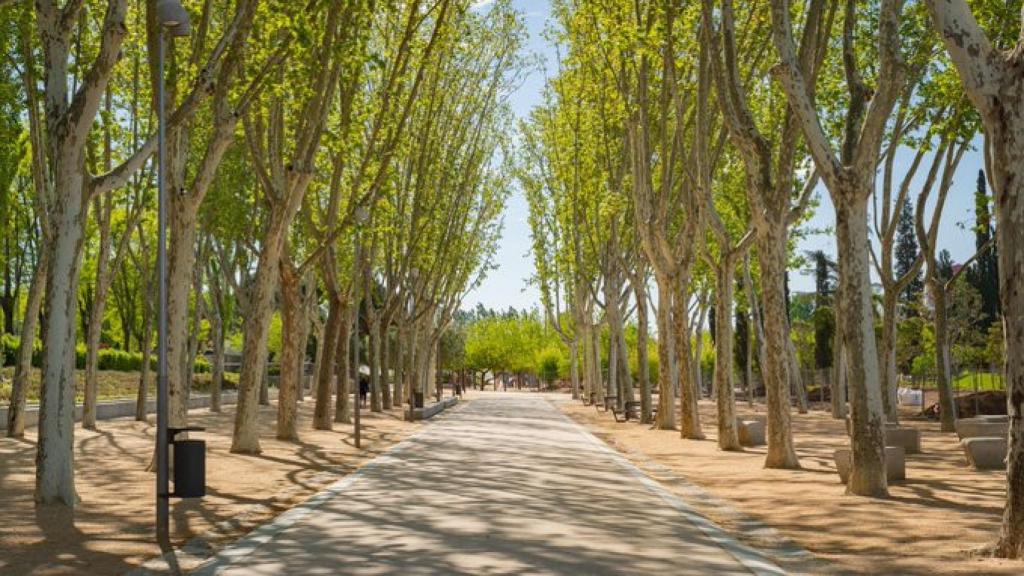 Los plataneros no van a 'sobrevivir' a la ampliación de metro en Arganzuela.