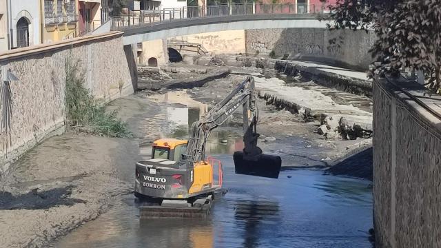 Un momento de la limpieza del cauce del Segura en Orihuela.