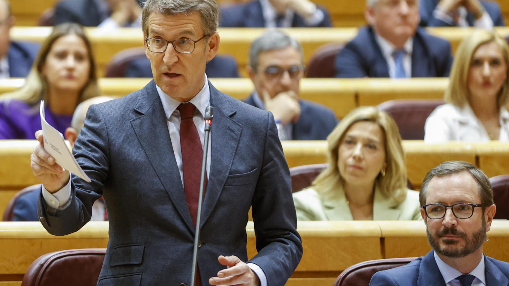 Alberto Núñez Feijóo en el Senado.