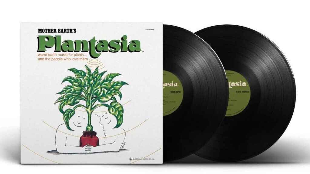 Como de otro planeta: Inteligencia vegetal y música para plantas