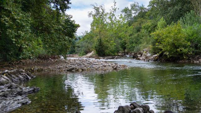 Día Mundial del Agua 2023: una nueva vida para cada gota de agua
