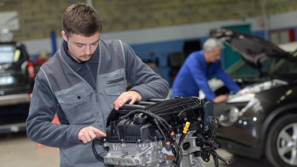 Un joven de formación profesional en una empresa.