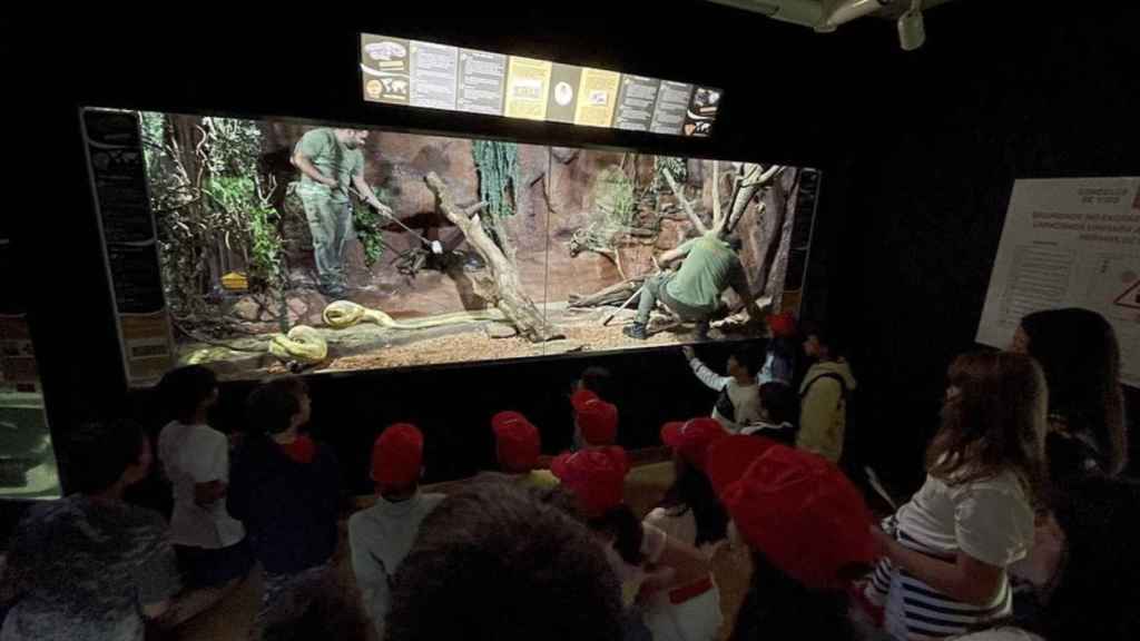 Animalistas piden al Concello transparencia y conocer el plan de conversión de VigoZoo