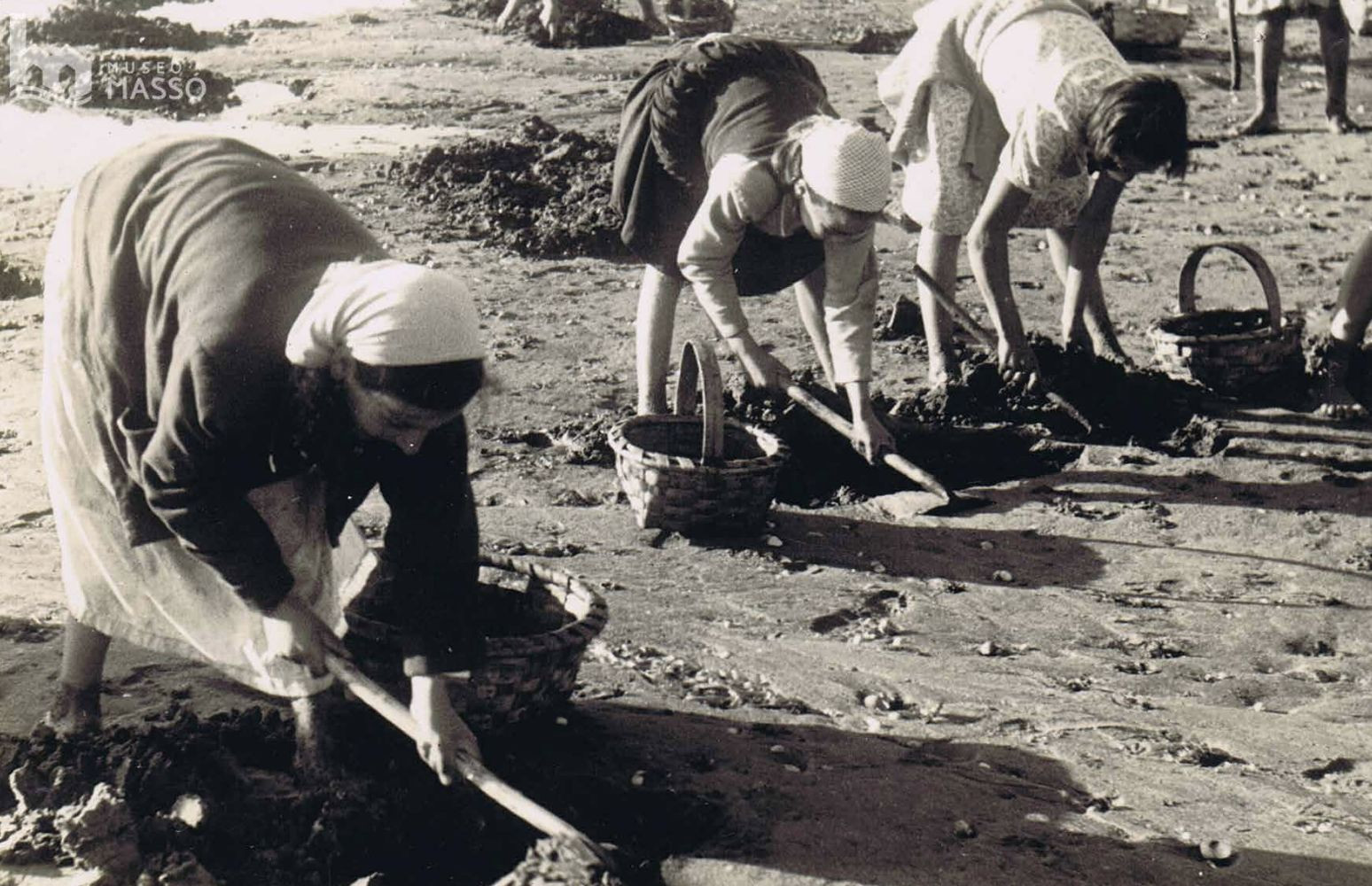 Imagen de la exposición de varias mariscadoras en Arcade, año 1960. Foto: Arquivo Museo Massó