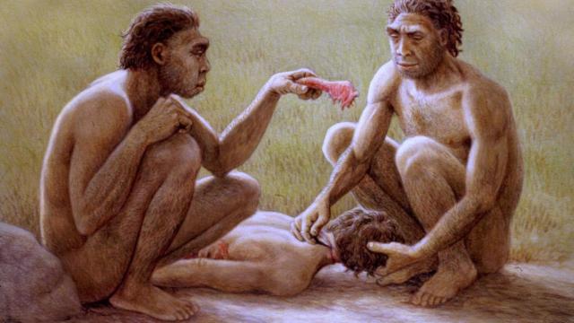 Recreación artística de un grupo de 'Homo antecessor' realizada por Mauricio Antón. Imagen: Museo de la Evolución Humana