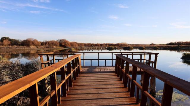 Tablas de Daimiel (Ciudad Real). Imagen de archivo
