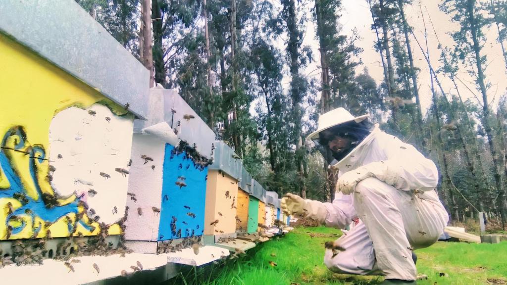 Ángel Gómez con sus colmenas.