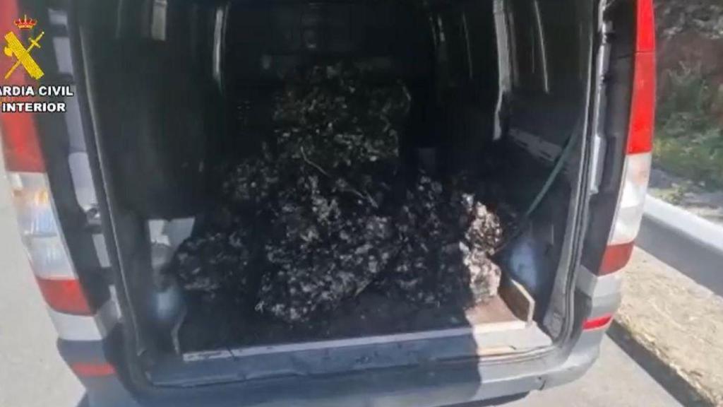 Incautan 800 kilos de mejilla en Fisterra (A Coruña) por un valor de más de 3.000 euros
