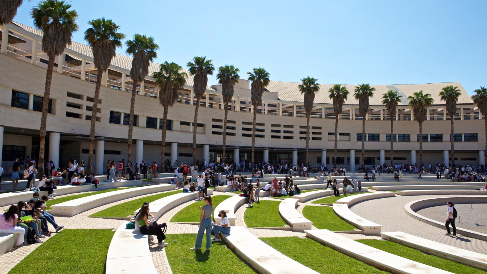 Universidad de Alicante.