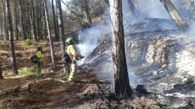 Incendio declarado este sábado en Alcaucín.
