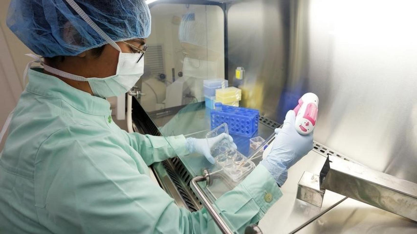 Las terapias génicas actuales se basan en la adición de genes, no en su sustitución.