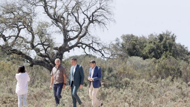 Pedro Sánchez durante su última visita a Doñana en abril de 2023.