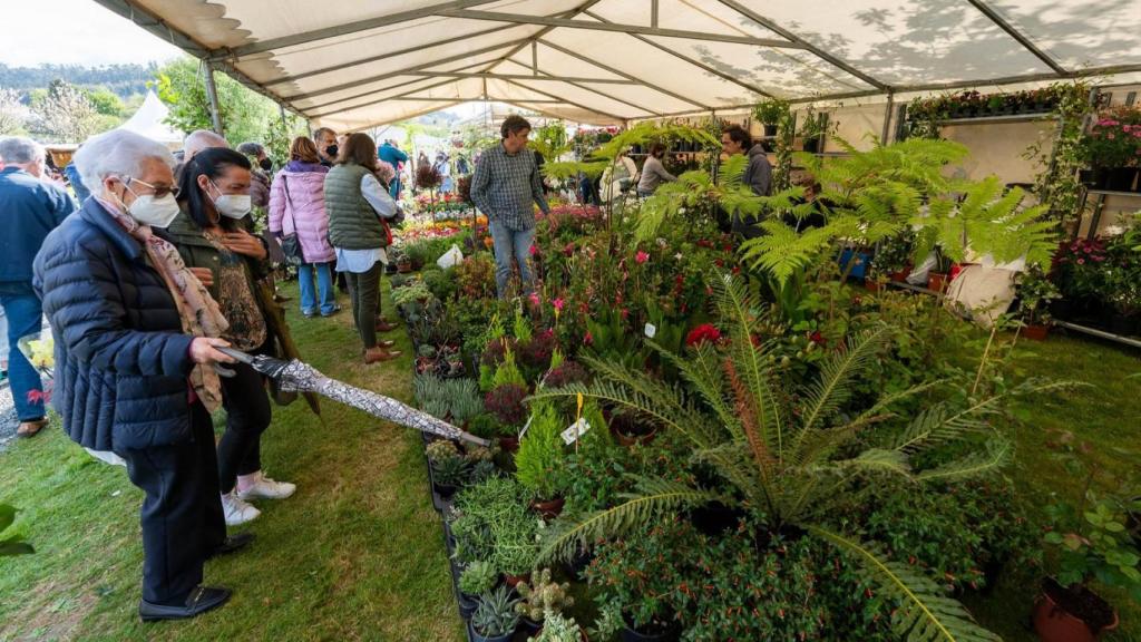 Imagen de archivo de una edición de la Feira da Plantación