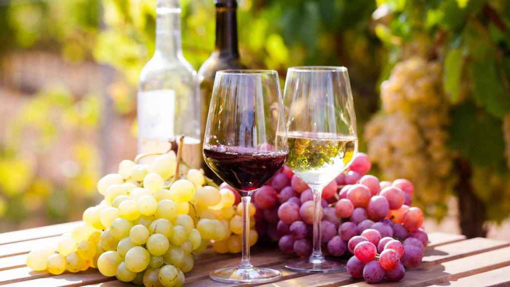 Los vinos de reflexión