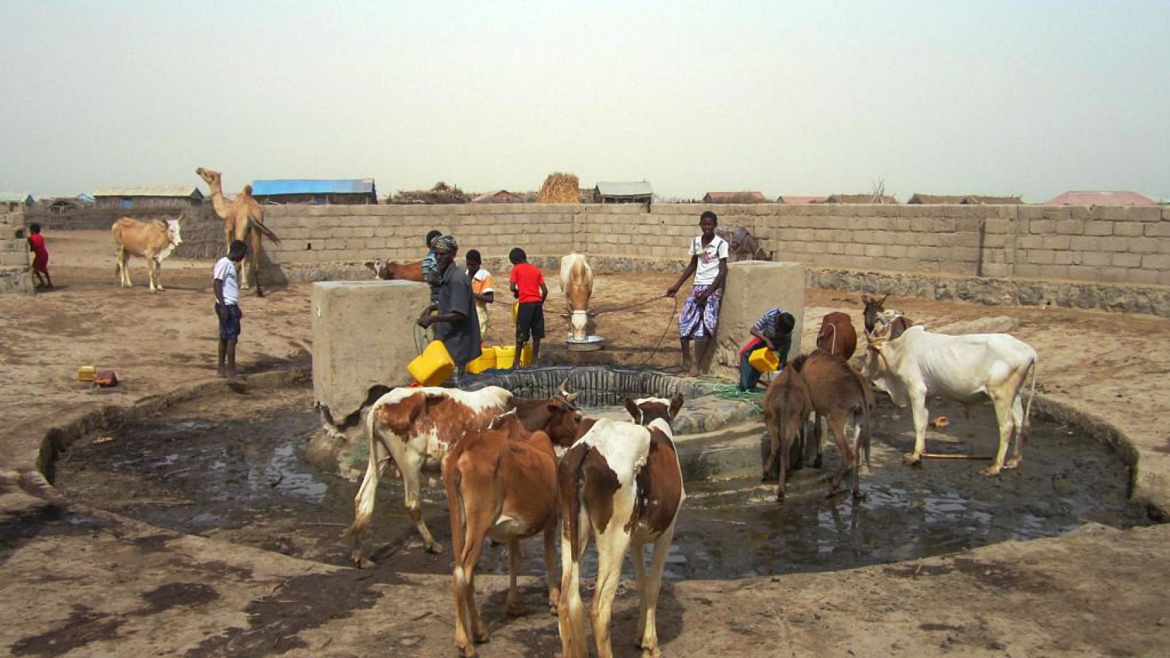 Aldeanos sacan agua de un antiguo pozo en la aldea de Zula, cerca del sitio arqueológico de Adulis, al sur de Massawa, Eritrea.
